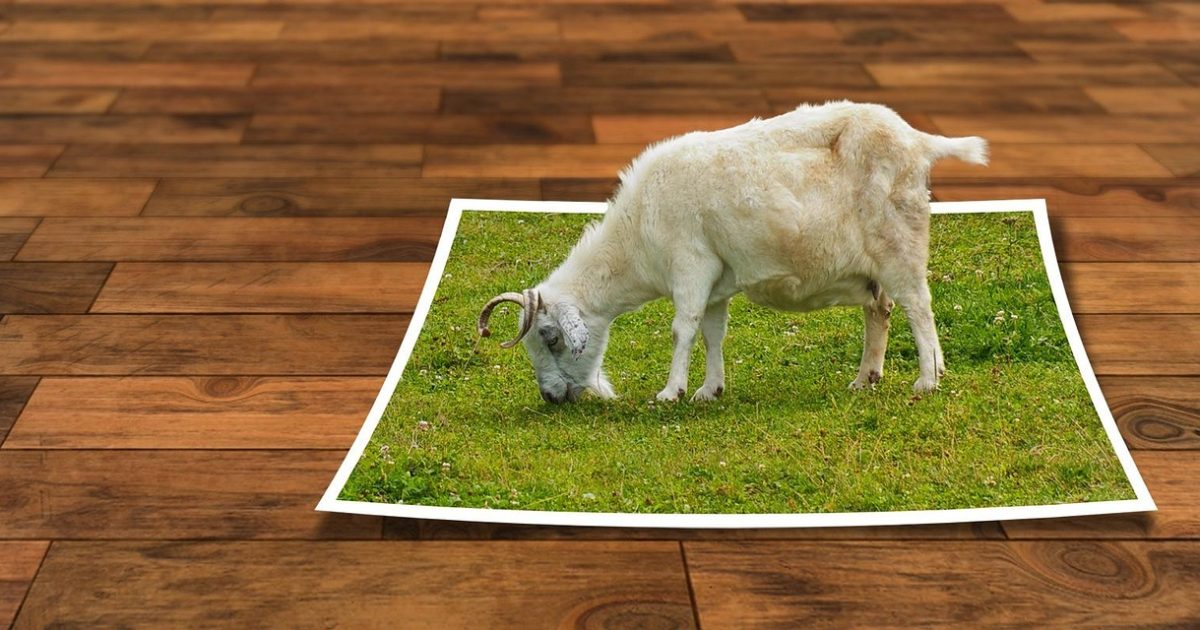 Image editing,  ebv,  unleashed,  image editing program,  3d,  photo frame,  photoshop,  picture,  photo,  frame,  out of the frame,  wood,  texture,  perspective