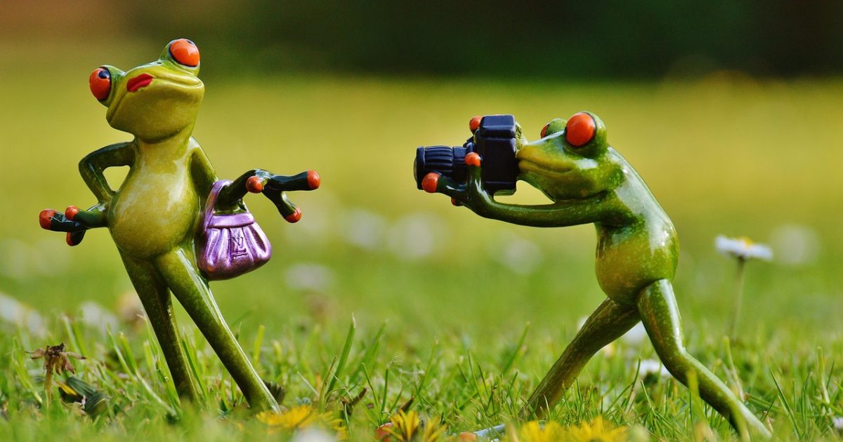 Frog,  photographer,  model,  photo model,  lady,  posing,  camera,  taking photos,  nature,  fun,  funny,  meadow,  spring