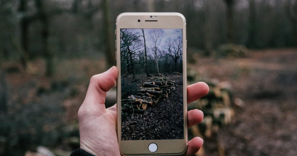 Phone,  cellphone,  people,  photography,  iphone,  apple,  photo,  picture,  nature,  woods,  forest,  phone,  cellphone,  cellphone,  cellphone,  cellphone,  cellphone,  people
