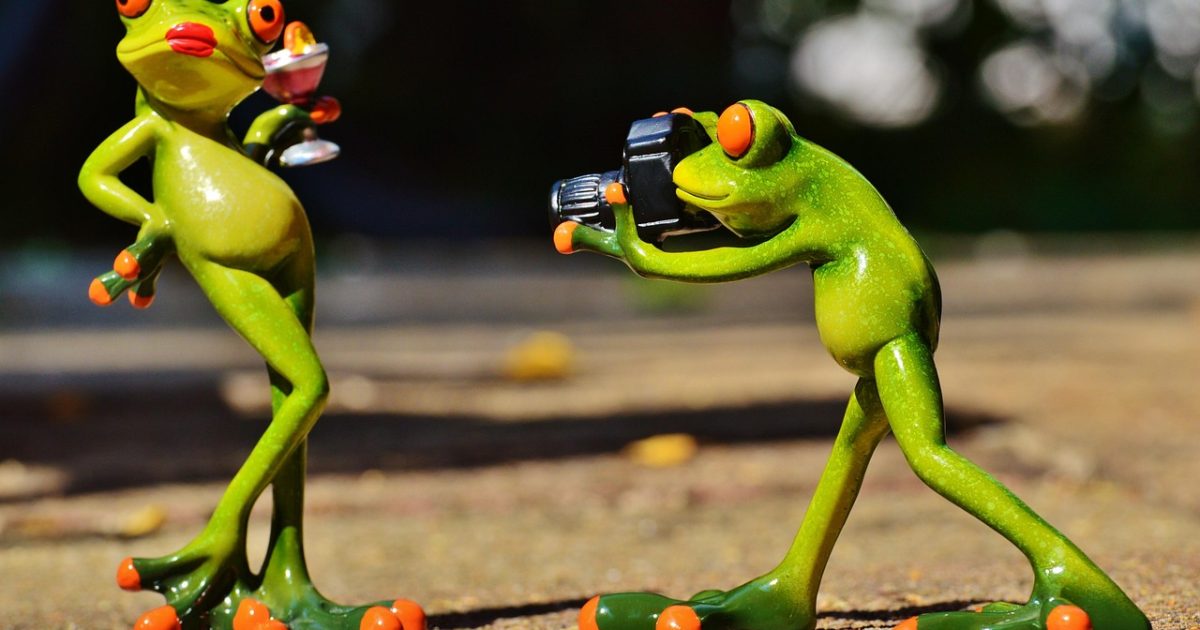 Frog, photographer, model, photo model, lady, posing, camera, taking photos, fun, cocktail, funny, frog, funny, funny, funny, funny, funny